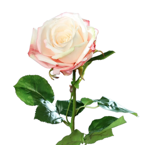 Künstliche Rose - Xenia | 66 cm