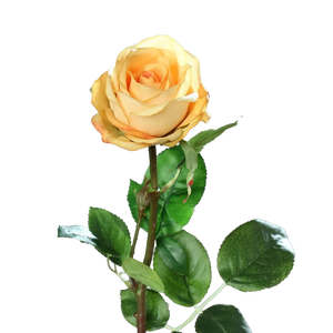 Künstliche Rose - Platon | 66 cm