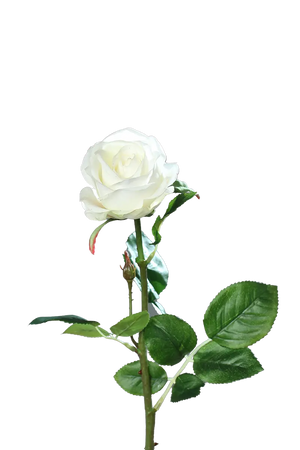 Künstliche Rose - Alexandros | 66 cm