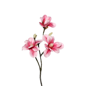 Künstliche Magnolien - Herta auf transparentem Hintergrund mit echt wirkenden Kunstblättern in natürlicher Anordnung. Künstliche Magnolien - Herta hat die Farbe rose und ist 40 cm hoch. | aplanta Kunstpflanzen