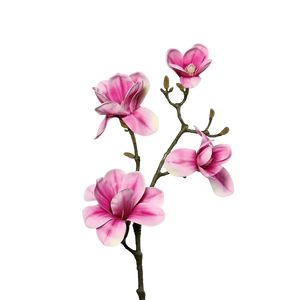 Künstliche Magnolien Zweig - Matilda auf transparentem Hintergrund mit echt wirkenden Kunstblättern in natürlicher Anordnung. Künstliche Magnolien Zweig - Matilda hat die Farbe pink und ist 80 cm hoch. | aplanta Kunstpflanzen