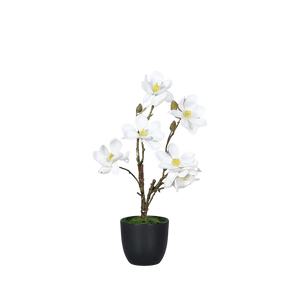 Hochwertige Kunstblumen | Künstliche Magnolie - Michele | 36 cm von 🌱aplanta