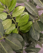 Künstliche Zamioculcas - Svea | 66 cm | Kunstpflanze von aplanta
