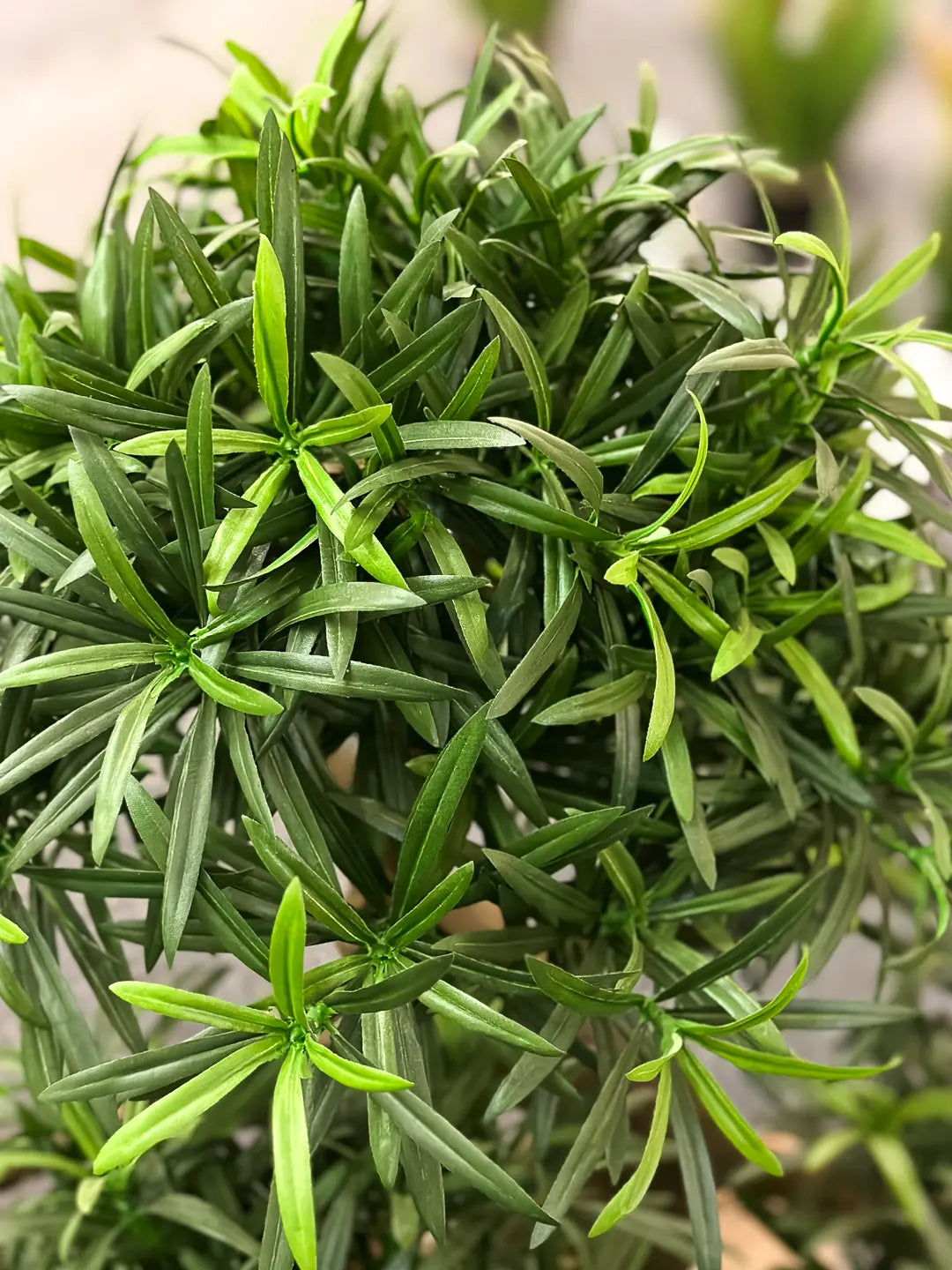 Künstlicher Steineiben-Bonsai - Summer | 80 cm | Kunstpflanze von aplanta