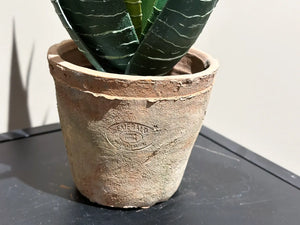 Künstliche Aloe - Pelikan | 23 cm | Kunstpflanze von aplanta