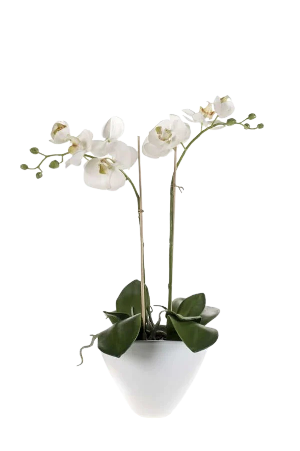 Hochwertige Kunstpflanze | Künstliche Orchidee - Petra | 45 cm von 🌱aplanta