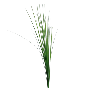 Hochwertiges Kunstgras auf transparentem Hintergrund mit echt wirkenden Kunstblättern in natürlicher Anordnung. Künstliches Isolepsis Gras - Arianna hat die Farbe Natur und ist 115 cm hoch. | aplanta Kunstpflanzen