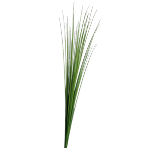 Hochwertiges Kunstgras auf transparentem Hintergrund mit echt wirkenden Kunstblättern in natürlicher Anordnung. Künstliches Isolepsis Gras - Arianna hat die Farbe Natur und ist 70 cm hoch. | aplanta Kunstpflanzen