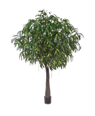Künstlicher langblättriger Ficus - Johannes auf transparentem Hintergrund mit echt wirkenden Kunstblättern in natürlicher Anordnung. Künstlicher langblättriger Ficus - Johannes hat die Farbe Natur und ist 270 cm hoch. | aplanta Kunstpflanzen