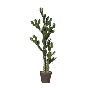 Künstlicher Kaktus mit Nadeln - Jack auf transparentem Hintergrund mit echt wirkenden Kunstblättern in natürlicher Anordnung. Künstlicher Kaktus mit Nadeln - Jack hat die Farbe Natur und ist 132 cm hoch. | aplanta Kunstpflanzen