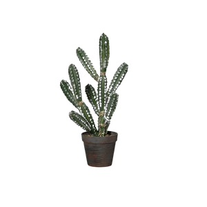 Künstlicher Kaktus - Futzi auf transparentem Hintergrund mit echt wirkenden Kunstblättern in natürlicher Anordnung. Künstlicher Kaktus - Futzi hat die Farbe Natur und ist 44 cm hoch. | aplanta Kunstpflanzen