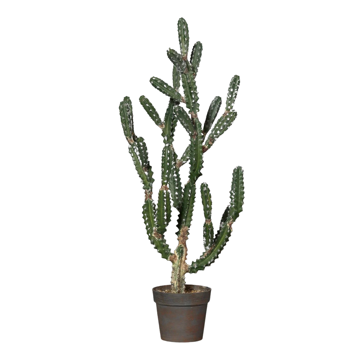 Hochwertige Kunstpflanze | Künstlicher Kaktus - Peter | 106 cm von 🌱aplanta