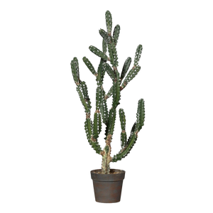 Hochwertige Kunstpflanze | Künstlicher Kaktus - Peter | 106 cm von 🌱aplanta