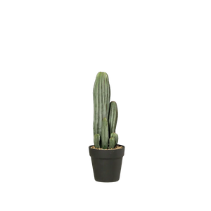 Künstlicher Kaktus - Odin auf transparentem Hintergrund mit echt wirkenden Kunstblättern in natürlicher Anordnung. Künstlicher Kaktus - Odin hat die Farbe Natur und ist 40 cm hoch. | aplanta Kunstpflanzen