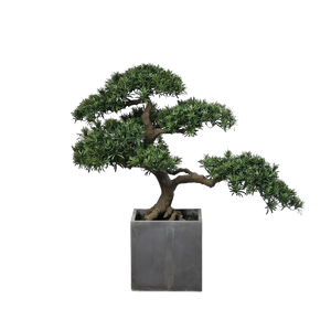 Hochwertiger Kunstbonsai auf transparentem Hintergrund mit echt wirkenden Kunstblättern in natürlicher Anordnung. Künstlicher Bonsai - Yuto hat die Farbe Natur und ist 100 cm hoch. | aplanta Kunstpflanzen