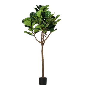 Hochwertige Kunstpflanze | Künstlicher Ficus Lyrata - Benni | 180 cm von 🌱aplanta