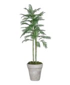 Hochwertige Kunstpalme auf transparentem Hintergrund mit echt wirkenden Kunstblättern in natürlicher Anordnung. Künstliche Chico Palme - Richi hat die Farbe Natur und ist 220 cm hoch. | aplanta Kunstpflanzen