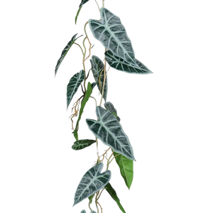 Hochwertige künstliche Hängepflanze auf transparentem Hintergrund mit echt wirkenden Kunstblättern in natürlicher Anordnung. Künstliche Alocasia Ranke - Bruno hat die Farbe Natur und ist 115 cm hoch. | aplanta Kunstpflanzen