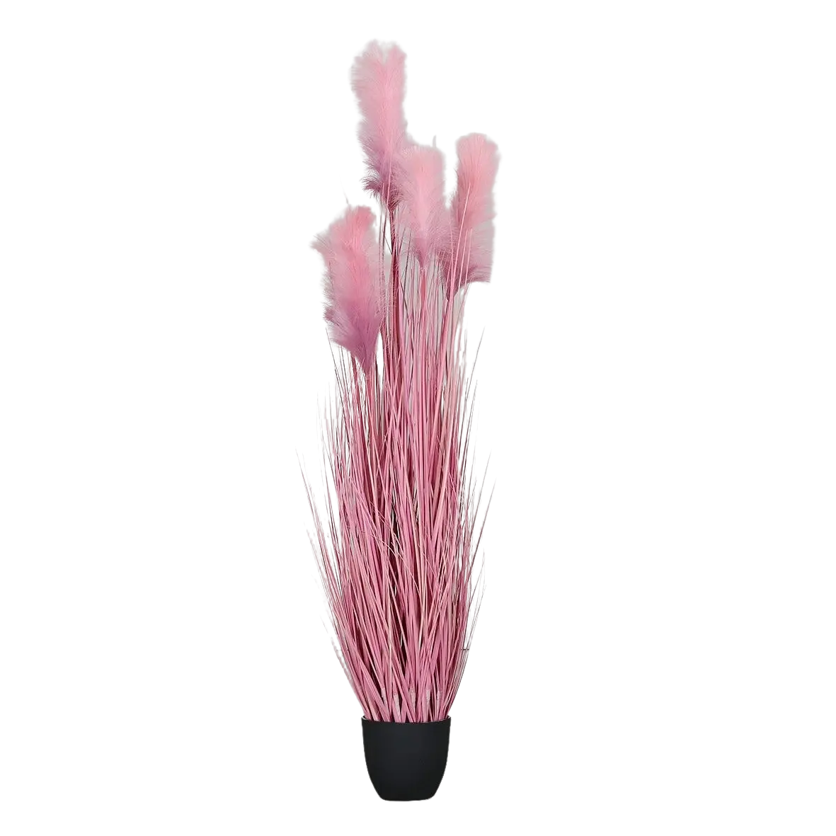 Hochwertiges Pampasgras künstlich auf transparentem Hintergrund mit echt wirkenden Kunstblättern in natürlicher Anordnung. Künstliches Gras mit Fruchtstand - Yanis hat die Farbe Pink und ist 152 cm hoch. | aplanta Kunstpflanzen