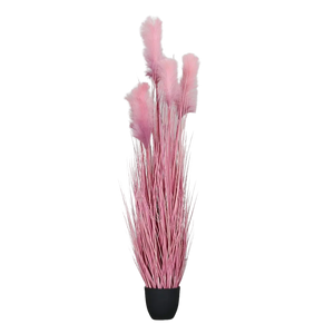 Hochwertiges Pampasgras künstlich auf transparentem Hintergrund mit echt wirkenden Kunstblättern in natürlicher Anordnung. Künstliches Gras mit Fruchtstand - Yanis hat die Farbe Pink und ist 152 cm hoch. | aplanta Kunstpflanzen