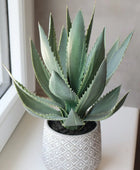 Künstliche Aloe - Jacky | 33 cm