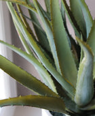 Künstliche Aloe - Yvonne | 53 cm