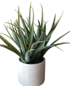 Künstliche Aloe - Yvonne auf transparentem Hintergrund mit echt wirkenden Kunstblättern in natürlicher Anordnung. Künstliche Aloe - Yvonne hat die Farbe Natur und ist 53 cm hoch. | aplanta Kunstpflanzen