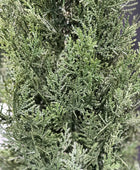 Künstliche Grüne Zeder - UV-beständig - Nathalie | 180 cm | Kunstpflanze von aplanta