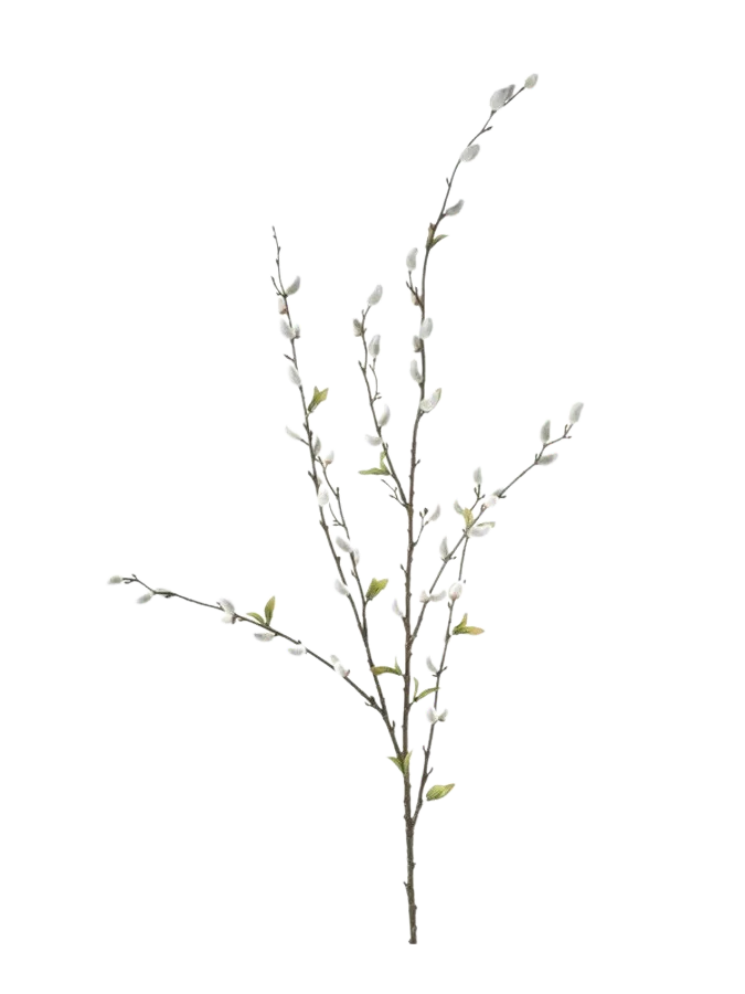 Hochwertige Kunstpflanze | Künstlicher Weide Zweig - Tilo | 120 cm von 🌱aplanta