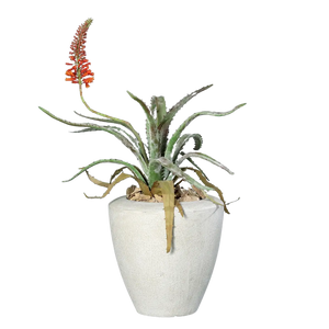 Künstliche Aloe - im Topf auf transparentem Hintergrund mit echt wirkenden Kunstblättern in natürlicher Anordnung. Künstliche Aloe - im Topf hat die Farbe Natur und ist 100 cm hoch. | aplanta Kunstpflanzen