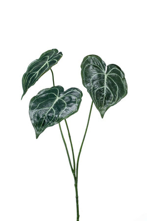 Künstliche Anthurie, Steckpflanze, 62cm auf transparentem Hintergrund mit echt wirkenden Kunstblättern in natürlicher Anordnung. | aplanta Kunstpflanzen