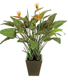 Künstliche Strelitzia - Charlotte auf transparentem Hintergrund mit echt wirkenden Kunstblättern in natürlicher Anordnung. Künstliche Strelitzia - Charlotte hat die Farbe Natur und ist 130 cm hoch. | aplanta Kunstpflanzen