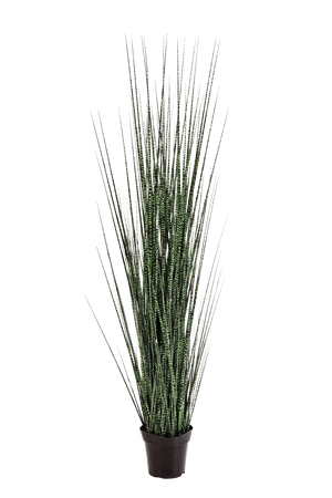 Künstliches Gras - Zebra | 120 cm