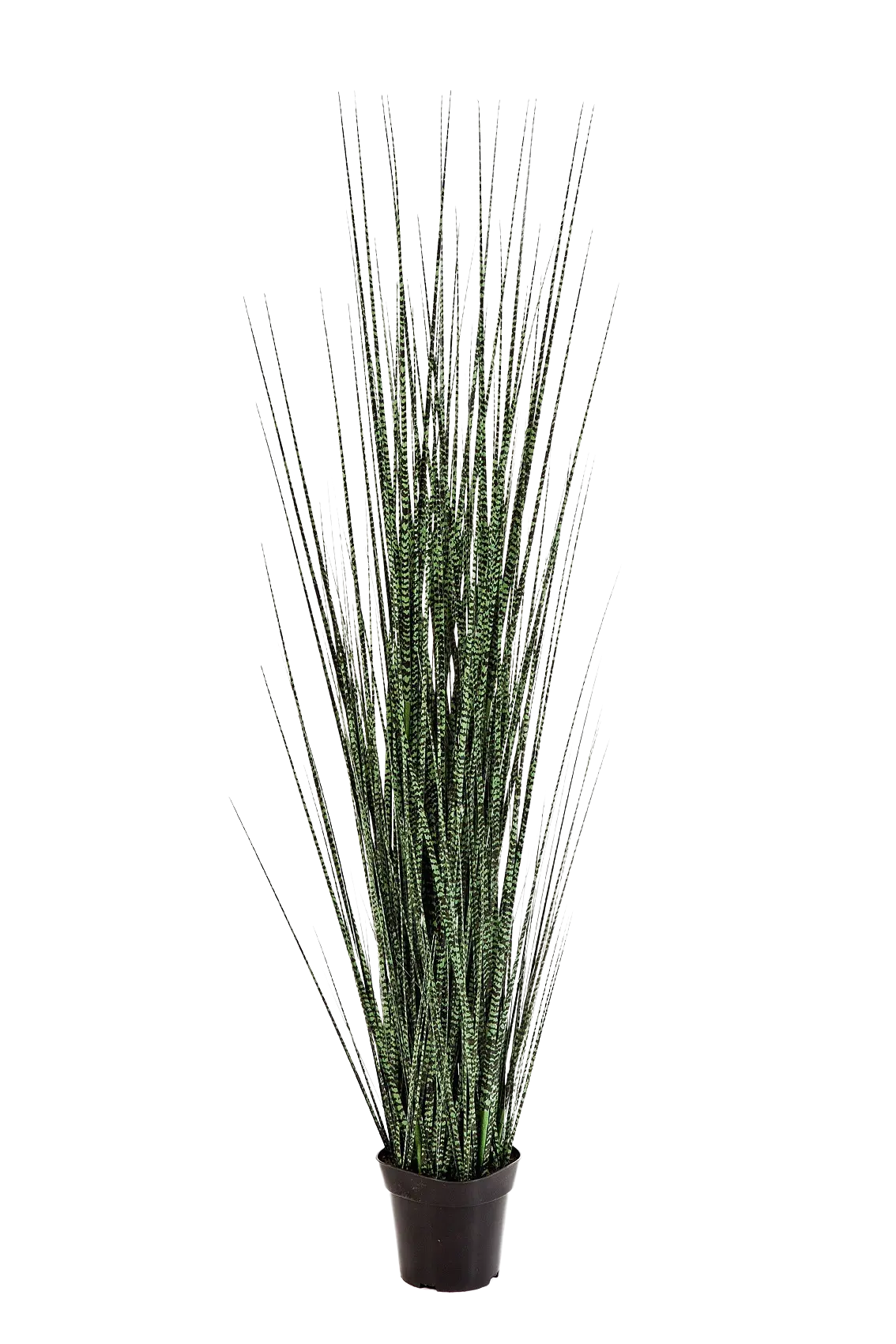 Künstliches Gras - Zebra | 120 cm