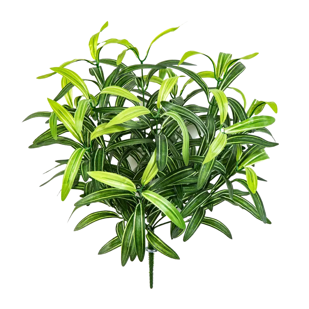 Künstliche Grünlilie - Belinay auf transparentem Hintergrund mit echt wirkenden Kunstblättern in natürlicher Anordnung. Künstliche Grünlilie - Belinay hat die Farbe Natur und ist 40 cm hoch. | aplanta Kunstpflanzen