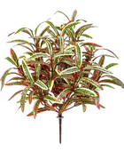 Künstliche Grünlilie - Berfin | 40 cm auf transparentem Hintergrund mit echt wirkenden Kunstblättern in natürlicher Anordnung. | aplanta Kunstpflanzen