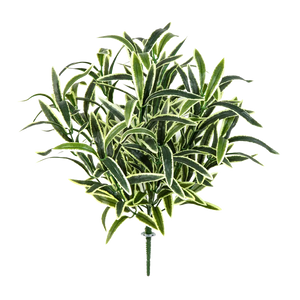 Künstliche Grünlilie - Beren | 40 cm auf transparentem Hintergrund mit echt wirkenden Kunstblättern in natürlicher Anordnung. | aplanta Kunstpflanzen
