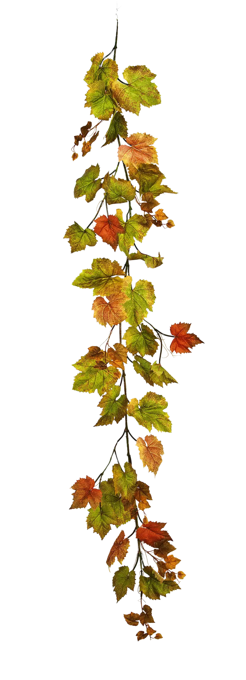 Hochwertige künstliche Hängepflanze auf transparentem Hintergrund mit echt wirkenden Kunstblättern in natürlicher Anordnung. Künstliche Weinreben Girlande - Bjarne hat die Farbe Natur und ist 180 cm hoch. | aplanta Kunstpflanzen
