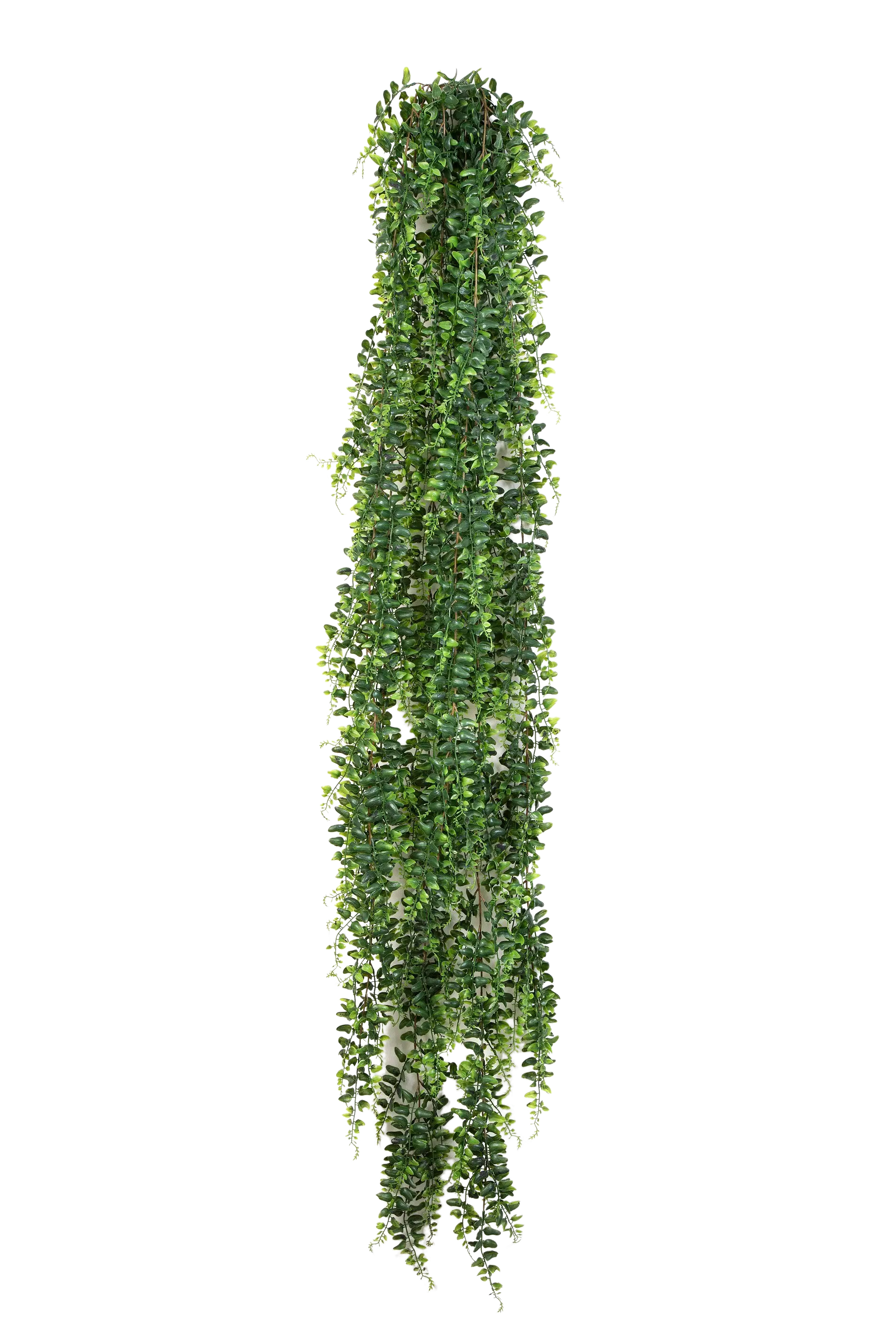 Hochwertige künstliche Hängepflanze auf transparentem Hintergrund mit echt wirkenden Kunstblättern in natürlicher Anordnung. Künstlicher Schwertfarn - Elisabeth hat die Farbe Natur und ist 140 cm hoch. | aplanta Kunstpflanzen