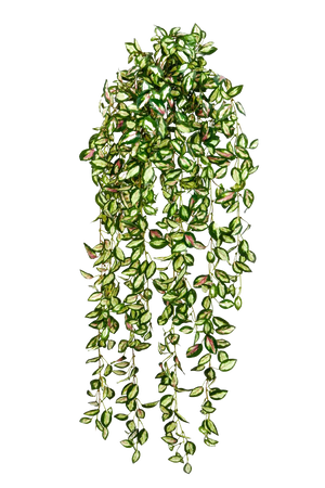 Künstliche Hänge-Hoya - Florentine, 85 cm, Kunstpflanze von aplanta, in Natur, für drinnen