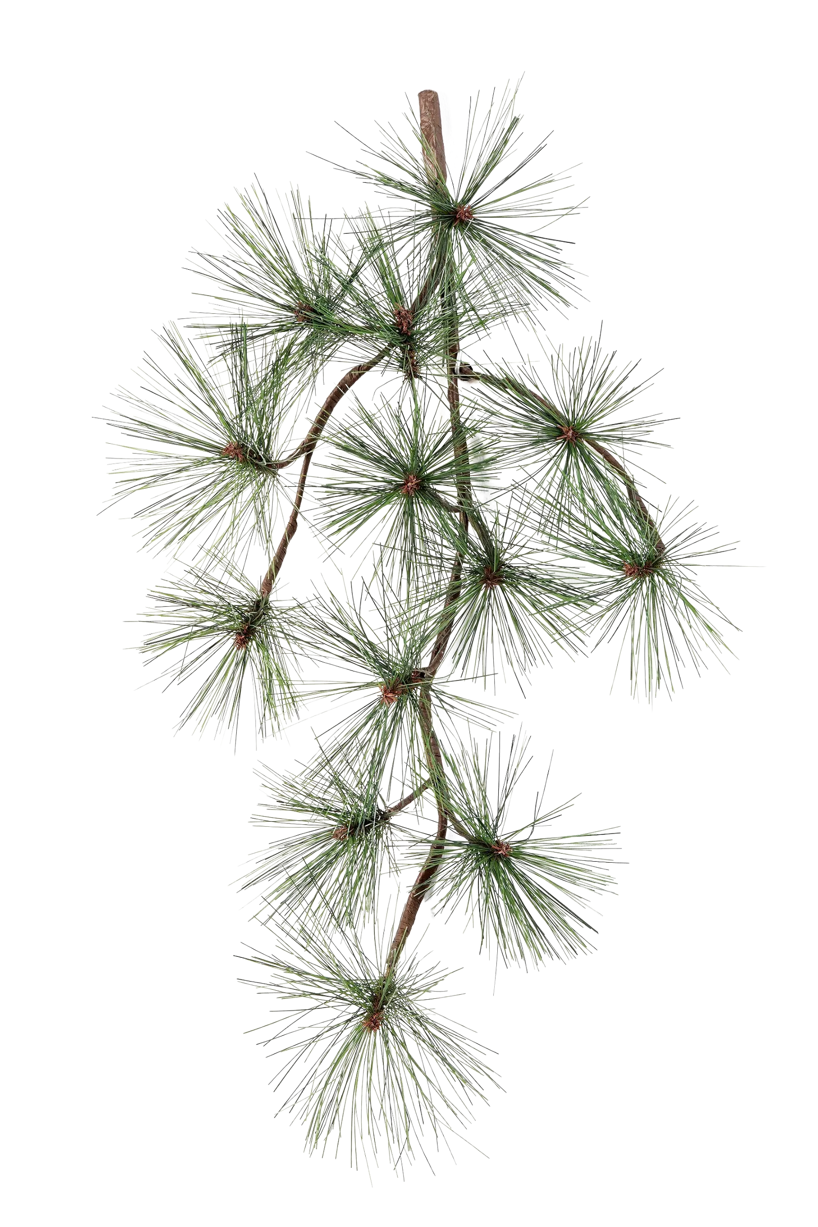 Künstlicher Pinien-Zweig - Fynn auf transparentem Hintergrund mit echt wirkenden Kunstblättern in natürlicher Anordnung. Künstlicher Pinien-Zweig - Fynn hat die Farbe Natur und ist 67 cm hoch. | aplanta Kunstpflanzen