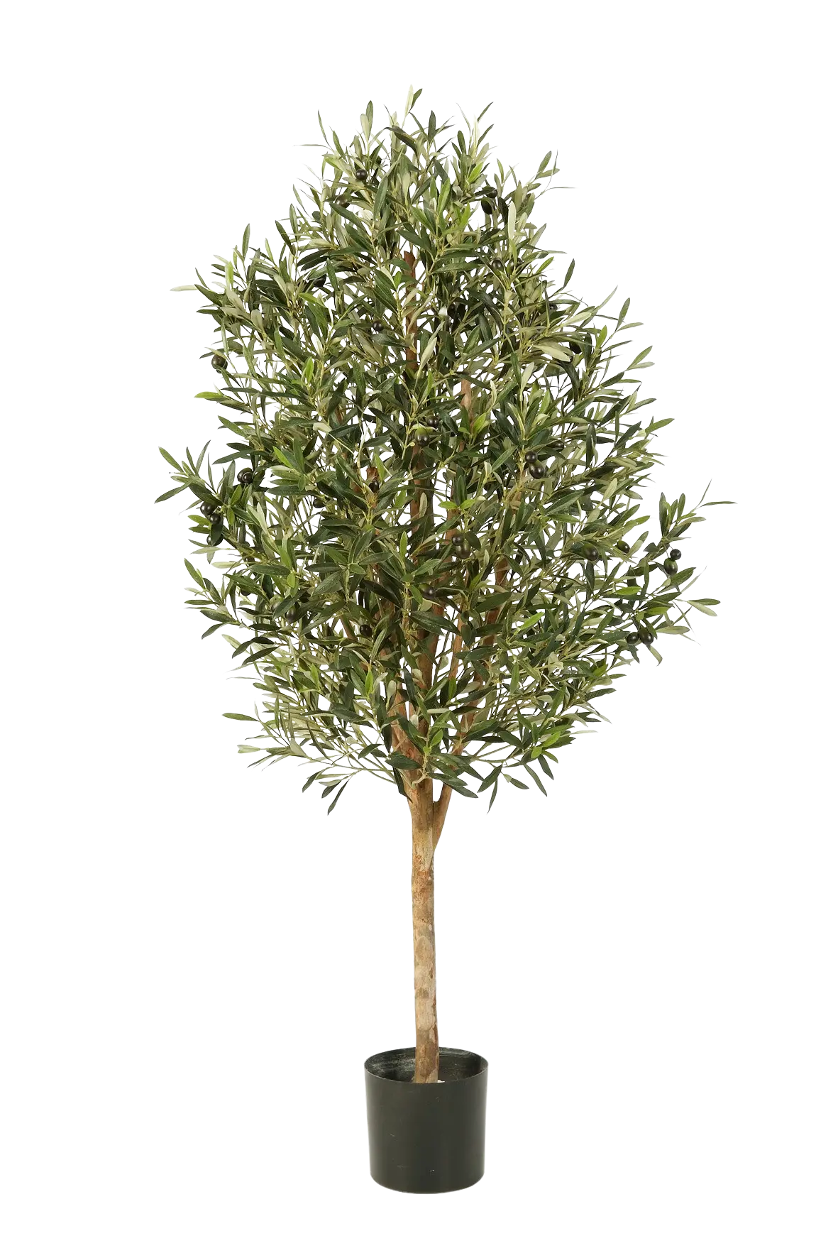 Hochwertiger Olivenbaum künstlich auf transparentem Hintergrund mit echt wirkenden Kunstblättern in natürlicher Anordnung. Künstlicher Olivenbaum - Ilaria hat die Farbe Natur und ist 140 cm hoch. | aplanta Kunstpflanzen