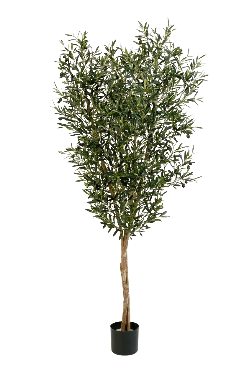 Künstliche Olivenbaum - Ilona, 120 cm, Kunstbaum von aplanta, in Natur, für drinnen