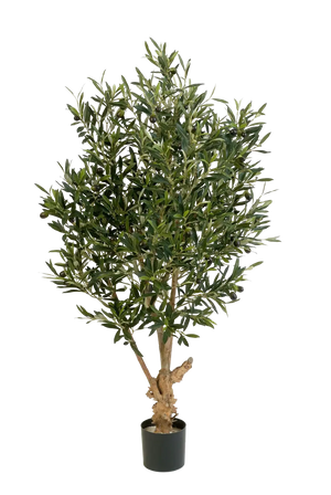 Hochwertiger Olivenbaum künstlich auf transparentem Hintergrund mit echt wirkenden Kunstblättern in natürlicher Anordnung. Künstlicher Olivenbaum - Ian hat die Farbe Natur und ist 120 cm hoch. | aplanta Kunstpflanzen