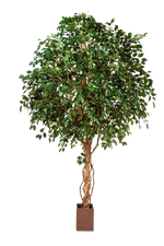 Künstlicher Ficus Baum - Nero, 315 cm, Kunstbaum von aplanta, mit Echtholzstamm, im schwarzen Topf, in Natur, für drinnen