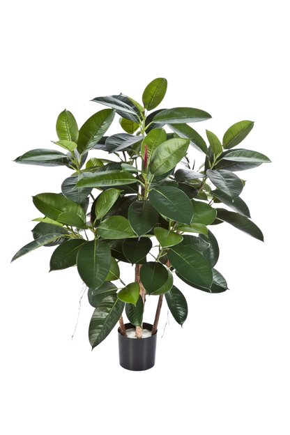 Künstlicher Gummibaum - Laura, 90 cm, Kunstbaum von aplanta, mit Echtholzstamm, im schwarzen Topf, in Natur, für drinnen