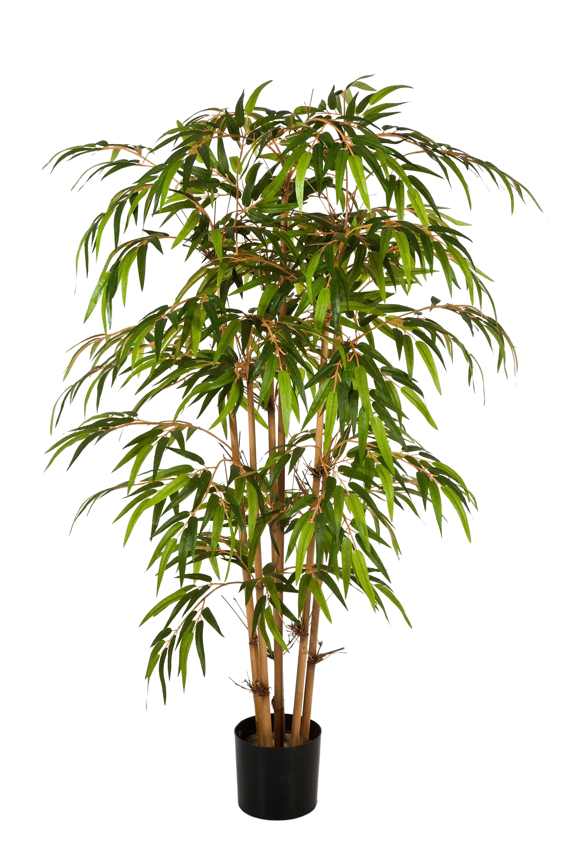 Künstlicher Bambus - Lasse auf transparentem Hintergrund mit echt wirkenden Kunstblättern. Diese Kunstpflanze gehört zur Gattung/Familie der "Bambuse" bzw. "Kunst-Bambuse".