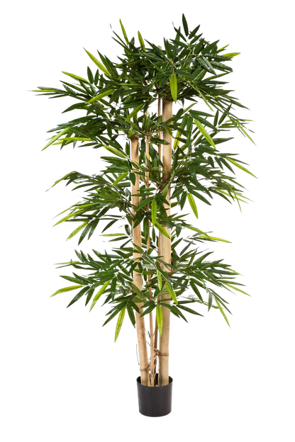 Künstlicher Bambus - Michael, 300 cm, Kunstbaum von aplanta, mit Echtholzstamm, in Natur, für drinnen