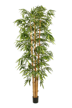 Künstlicher Bambus - Marlon, 300 cm, Kunstbaum von aplanta, mit Echtholzstamm, in Natur, für drinnen