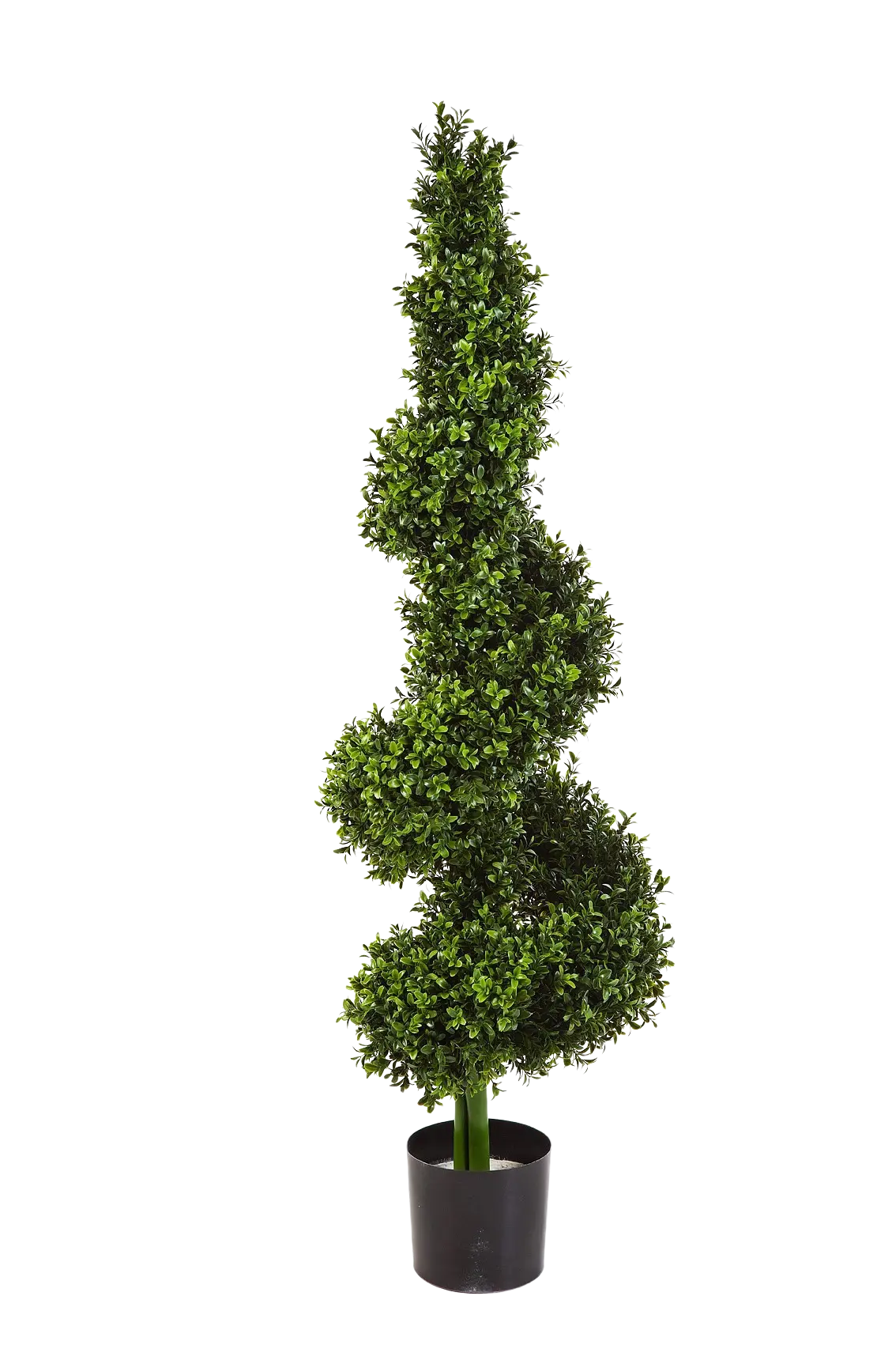 Hochwertiger Buchsbaum künstlich auf transparentem Hintergrund mit echt wirkenden Kunstblättern in natürlicher Anordnung. Künstliche Buchsbaum - Selina hat die Farbe Natur und ist 135 cm hoch. | aplanta Kunstpflanzen